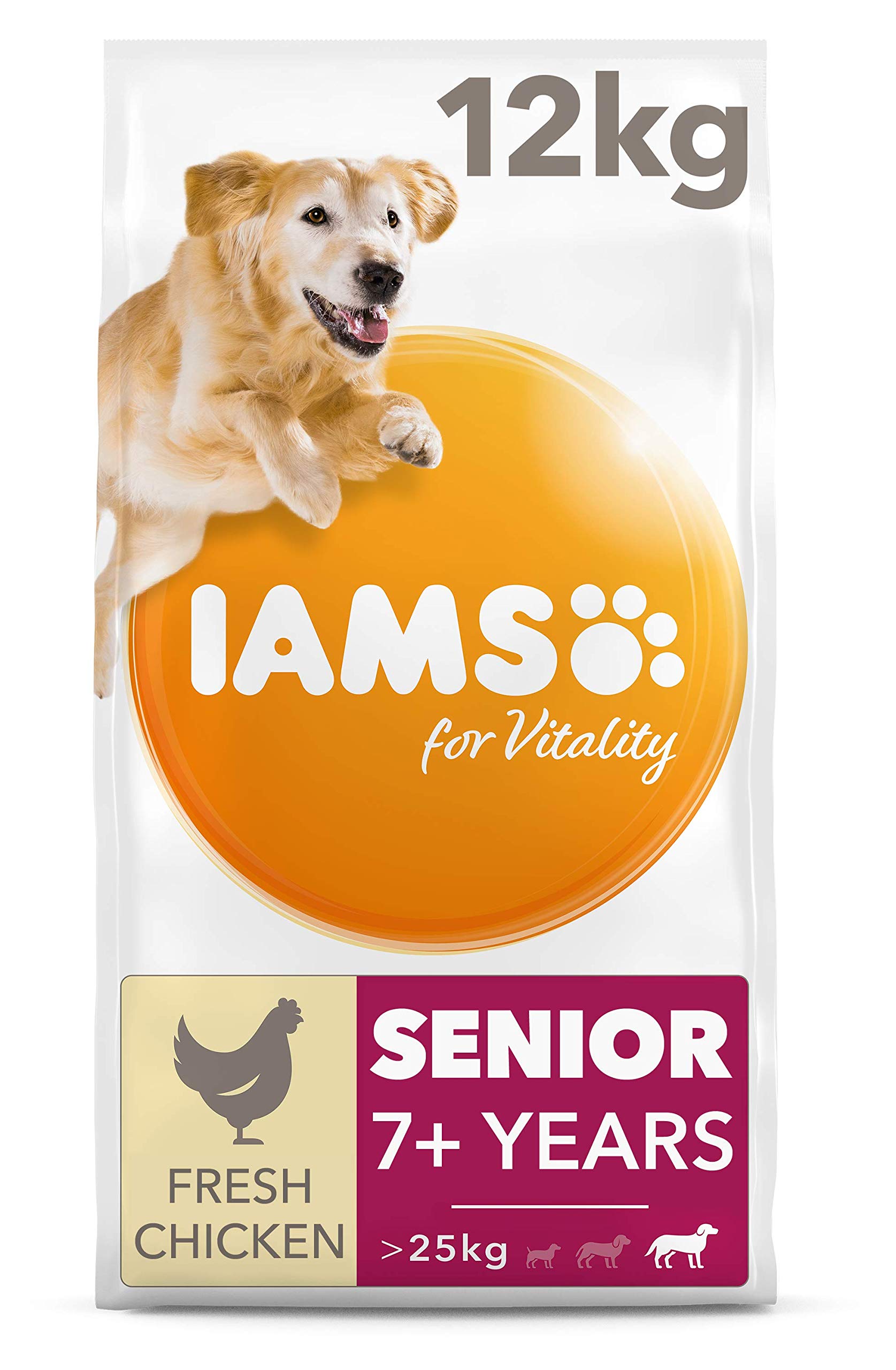 Why Are Dogs 7 Years Older