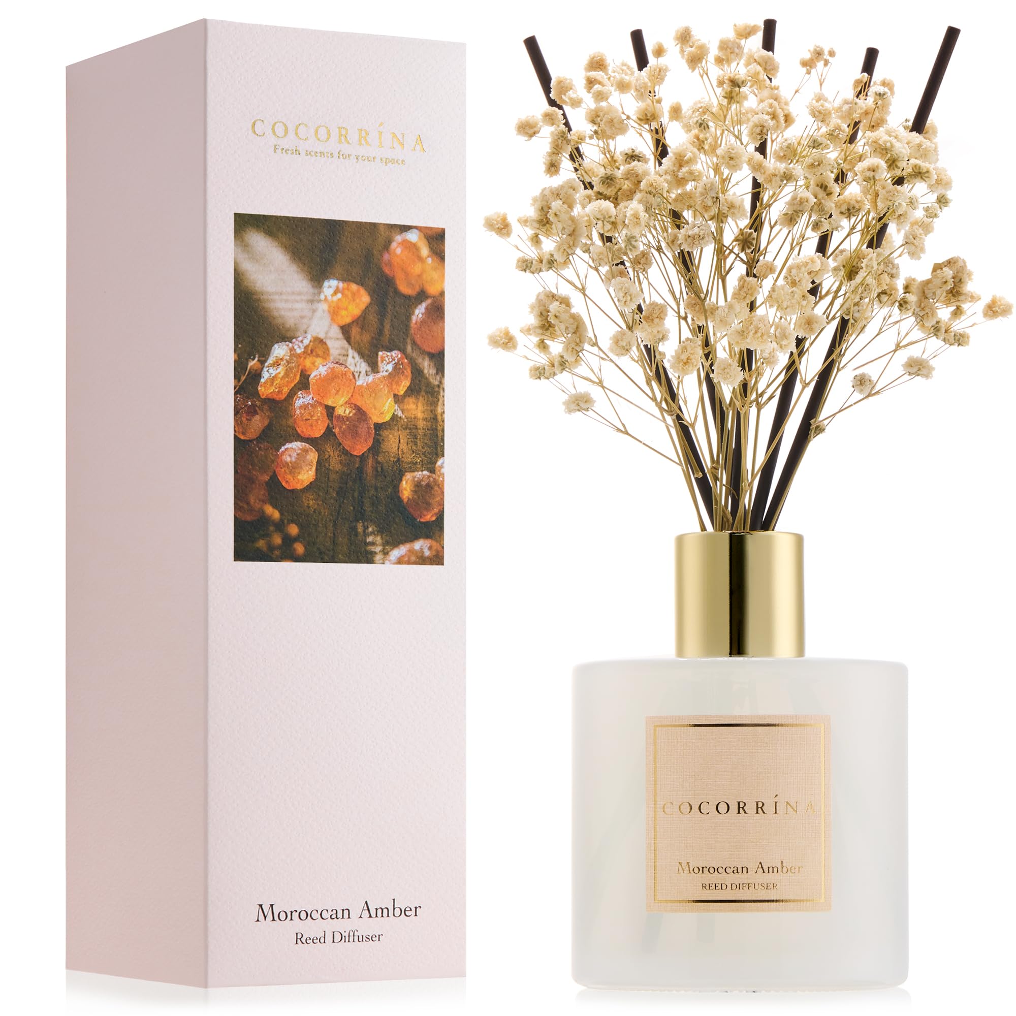 Photo 1 of COCORRÍNA Reed Diffuser - Moroccan Amber 6.7 Fl.oz Reed Diffuser Set with Sticks & Preserved Baby's Breath, Reed Diffuser for Home Bathroom Shelf Decor