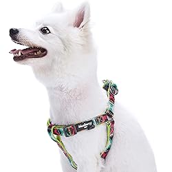 Blueberry Pet 2 Colors Soft & Comfy Step-in