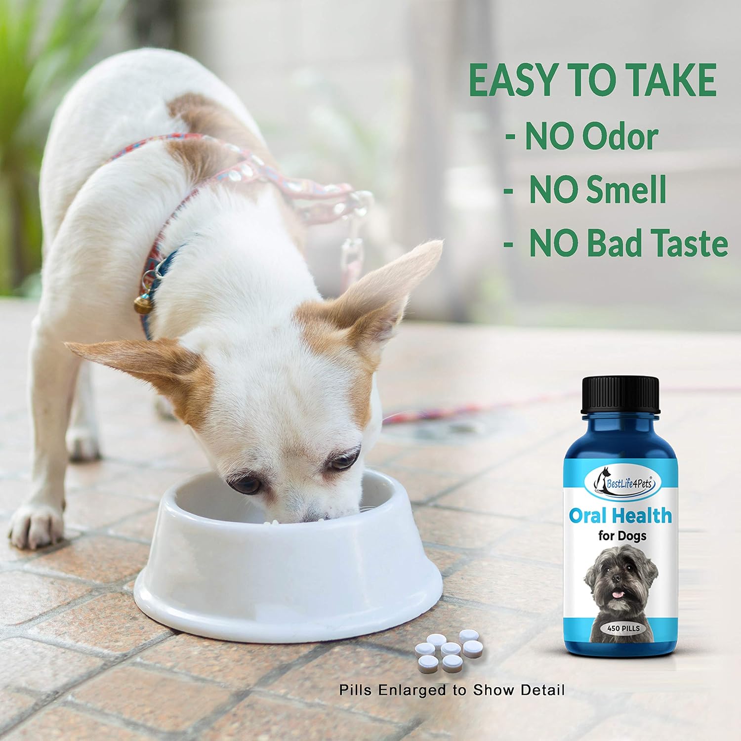 BestLife4Pets Oral Health for Dogs Dental Remedy - Highly Effective Natural Treatment for Inflammatory & Ulcerative Ailments, Stomatitis and Gingivitis. No Smell, No Side Effects : Pet Supplies