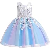 Weileenice Flower Girls Wedding Dress Tulle Little/Girl Lace Bridesmaid Holiday Pageant Party Tutu Dresses