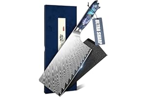 DRAGON RIOT Meat Cleaver Knife,Kitchen Knife with Premium Vg10 Steel Blade,Japanese Vegtable Knife with Ergonomic Handle for 