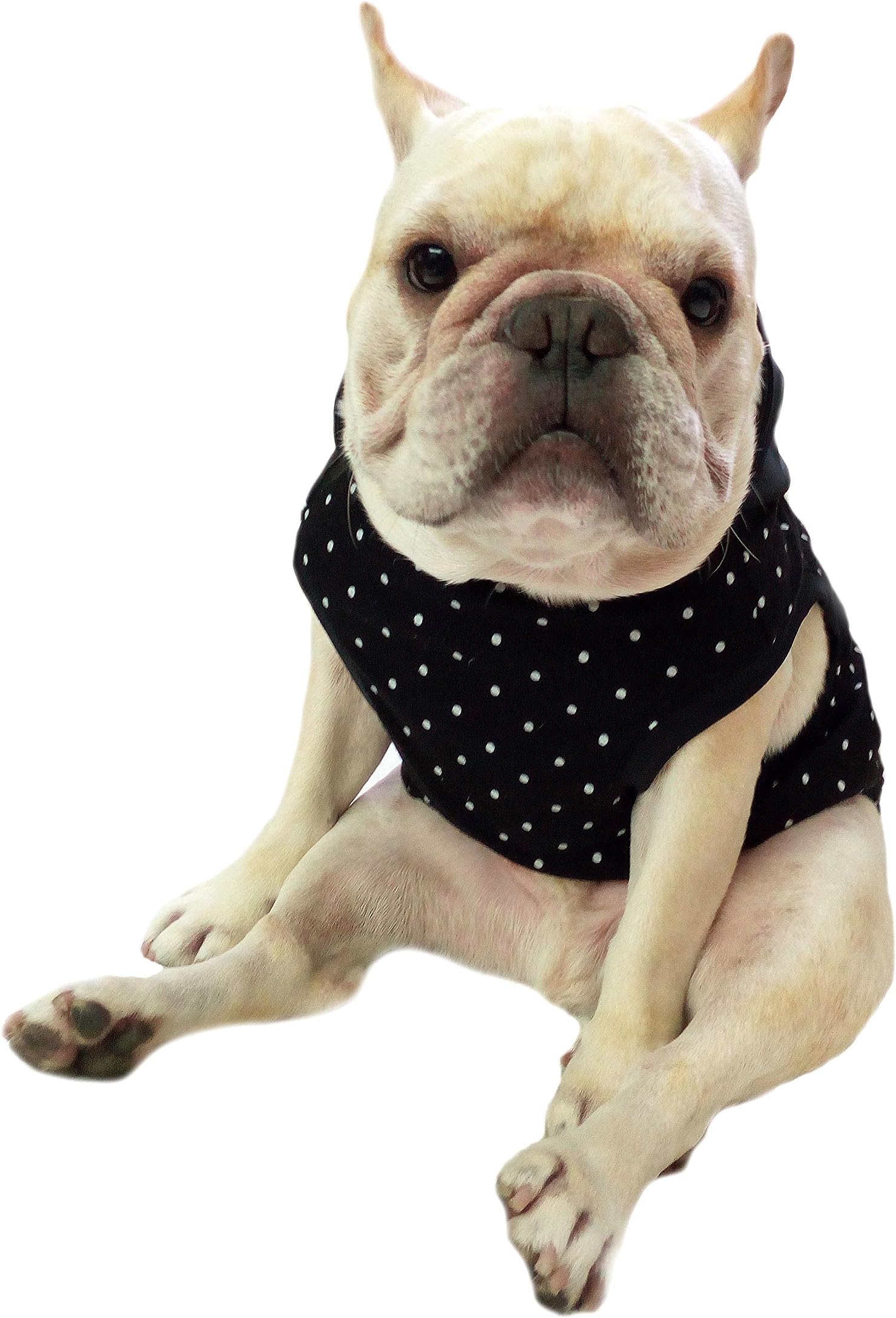 Frenchie Pet Apparel Black dot with Black Hoodie and Yellow Pompon for French Bulldog or Pug Wear