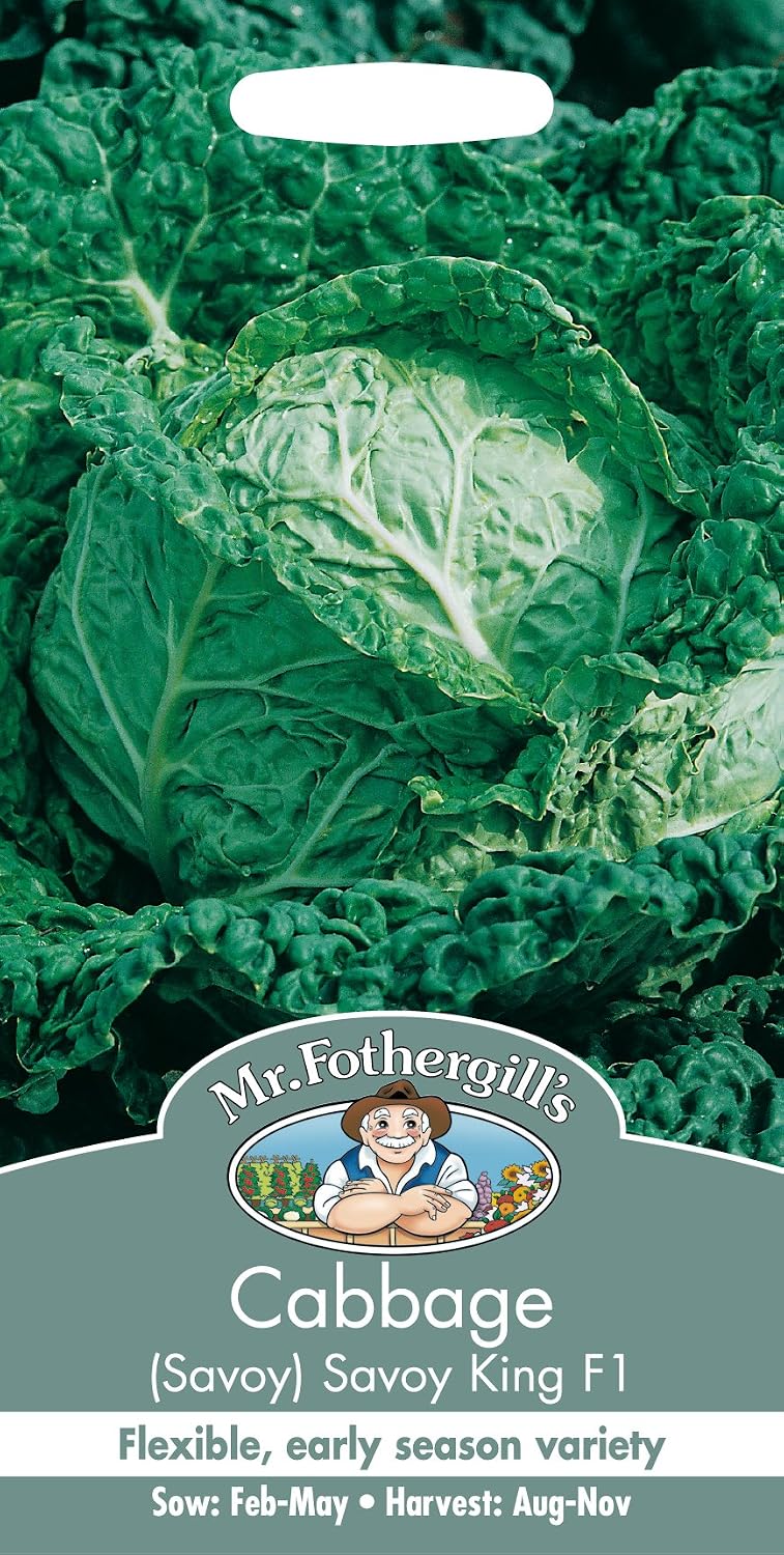 Mr Fothergill's 24827 Vegetable Seeds, Cabbage Savoy King F1, Green / Red