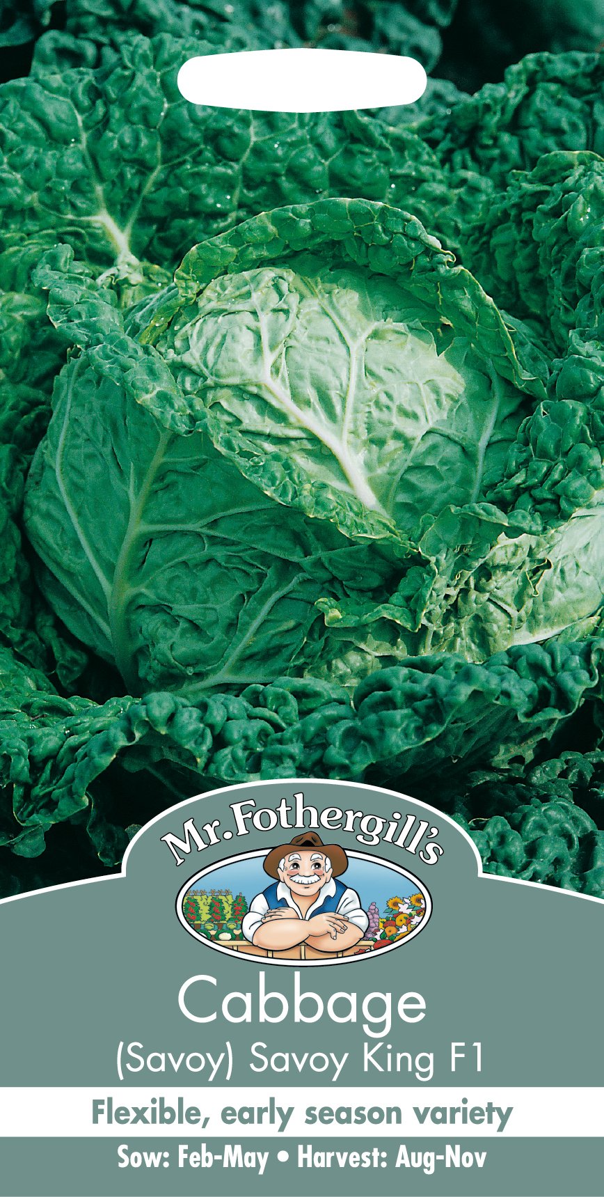 Mr Fothergill's 24827 Vegetable Seeds, Cabbage Savoy King F1