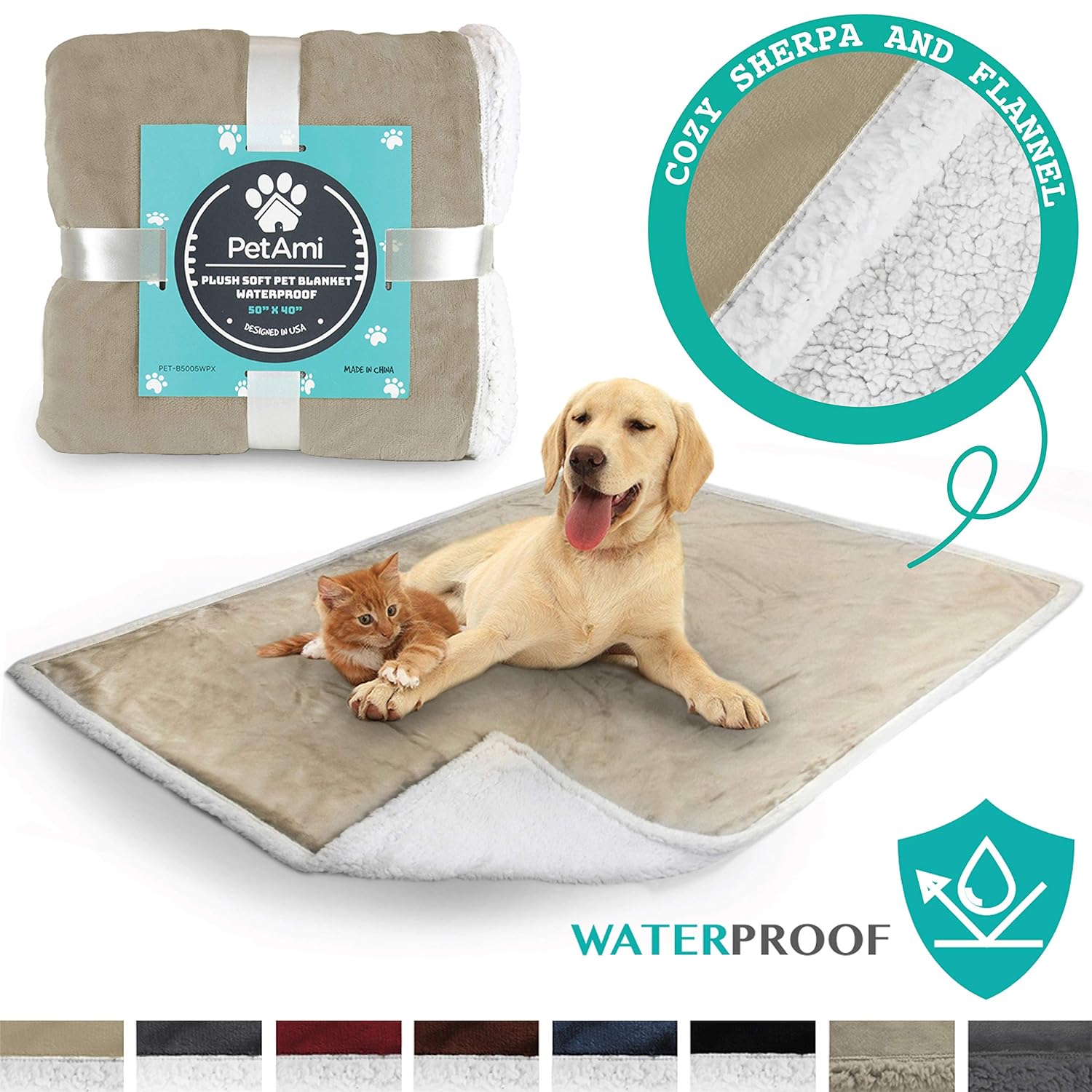 Best How To Remove Dog Urine Stain From Carpet