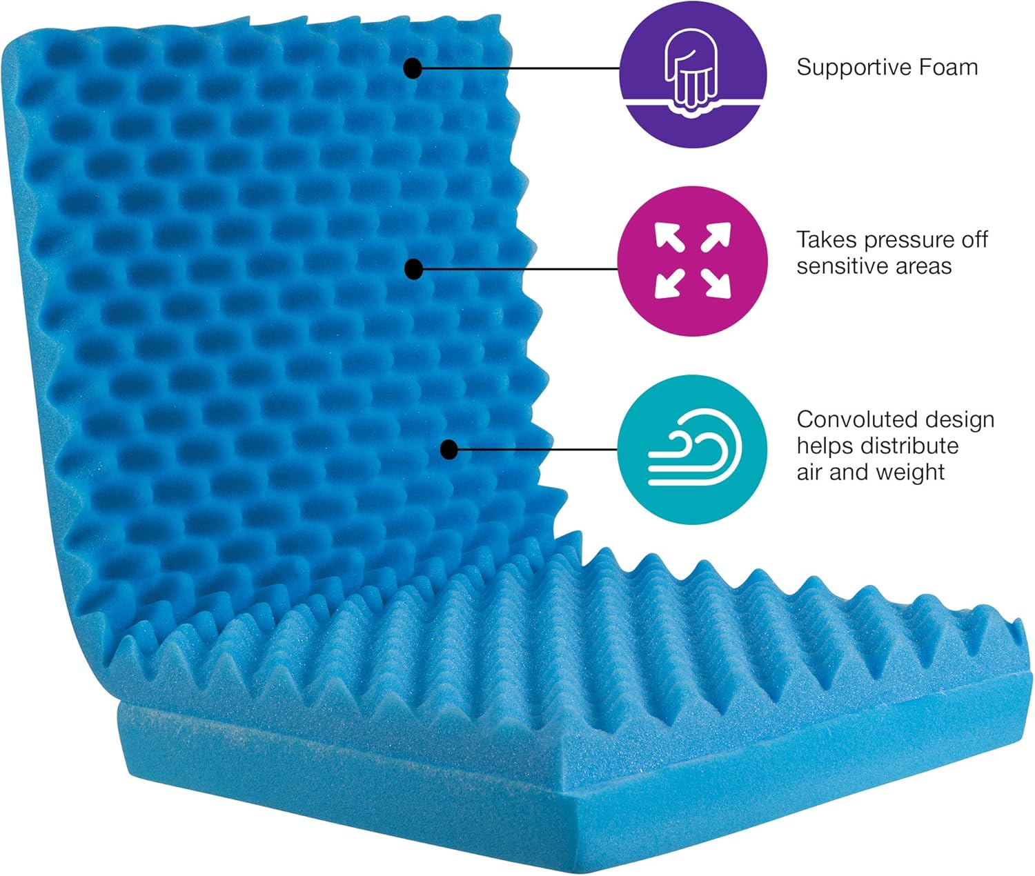 Egg Crate Sculpted Foam Seat Cushion with Full Back, Blue: Health & Personal Care