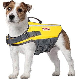 tiny dog life jacket