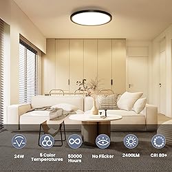NIORSUN 12 inch Flush Mount LED Ceiling Light