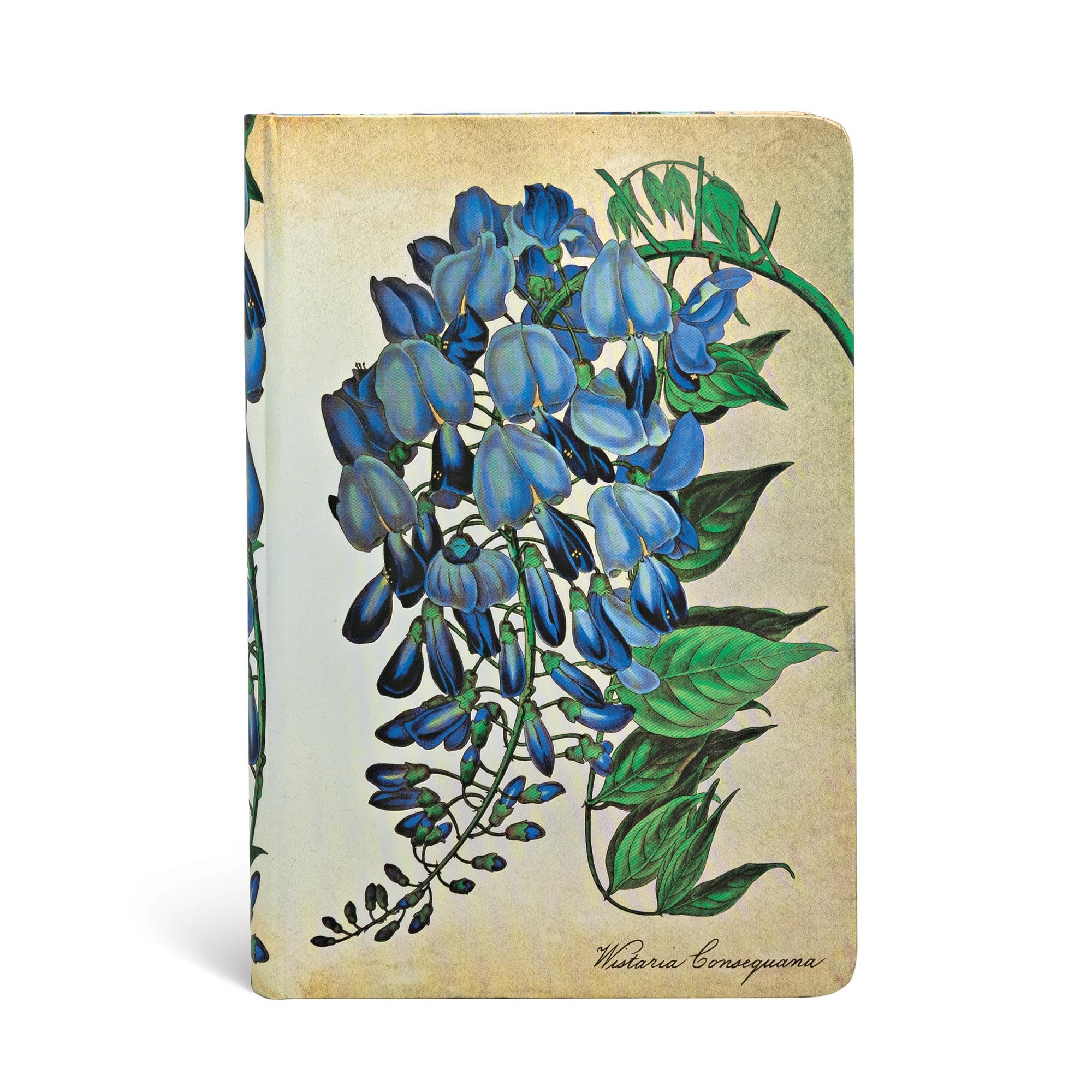 Hardcover Journals, Blooming Wisteria, Lined