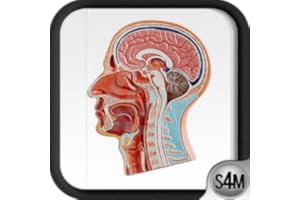 Atlas of Anatomy (Human)