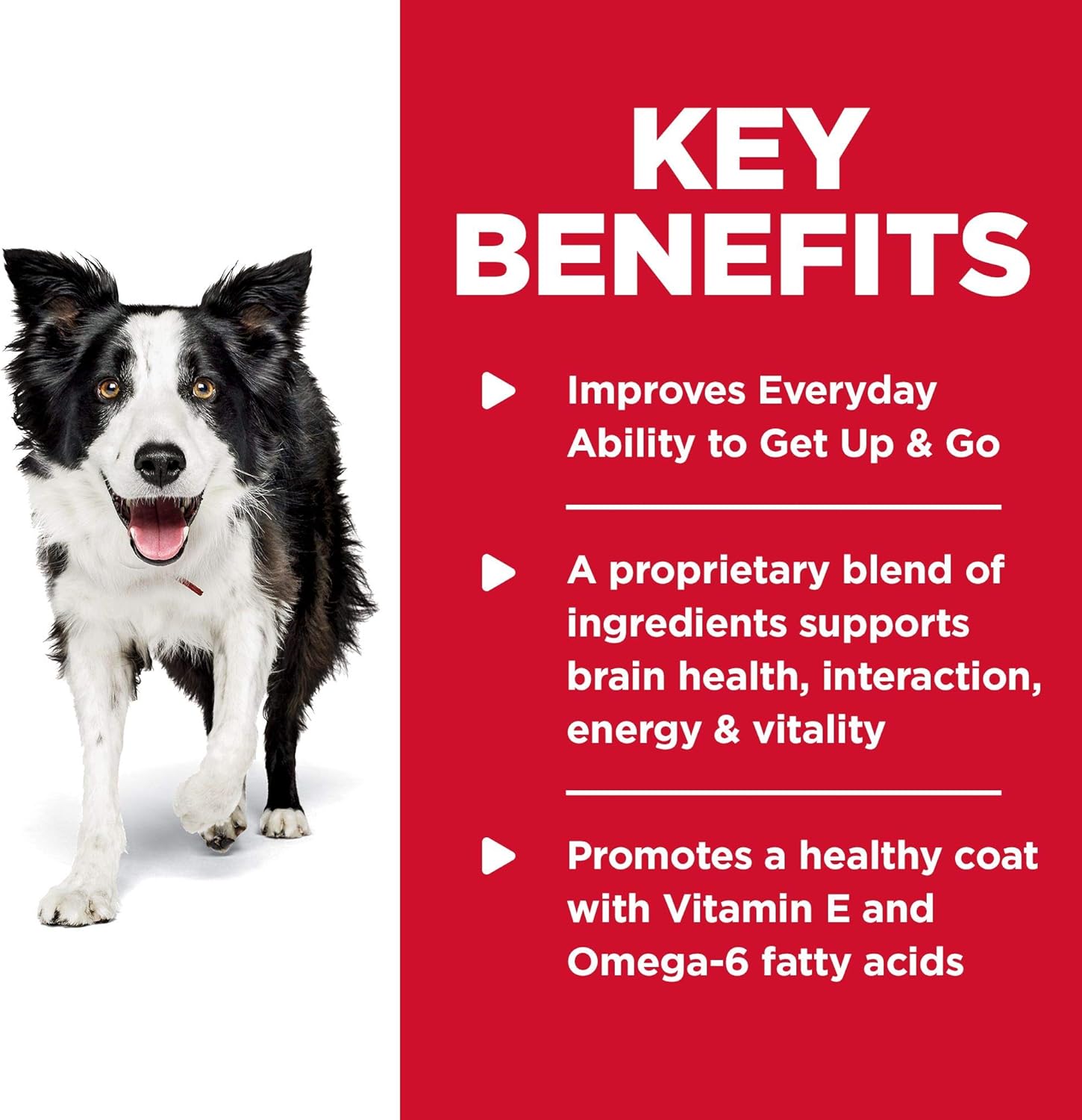 hill's science diet youthful vitality dog