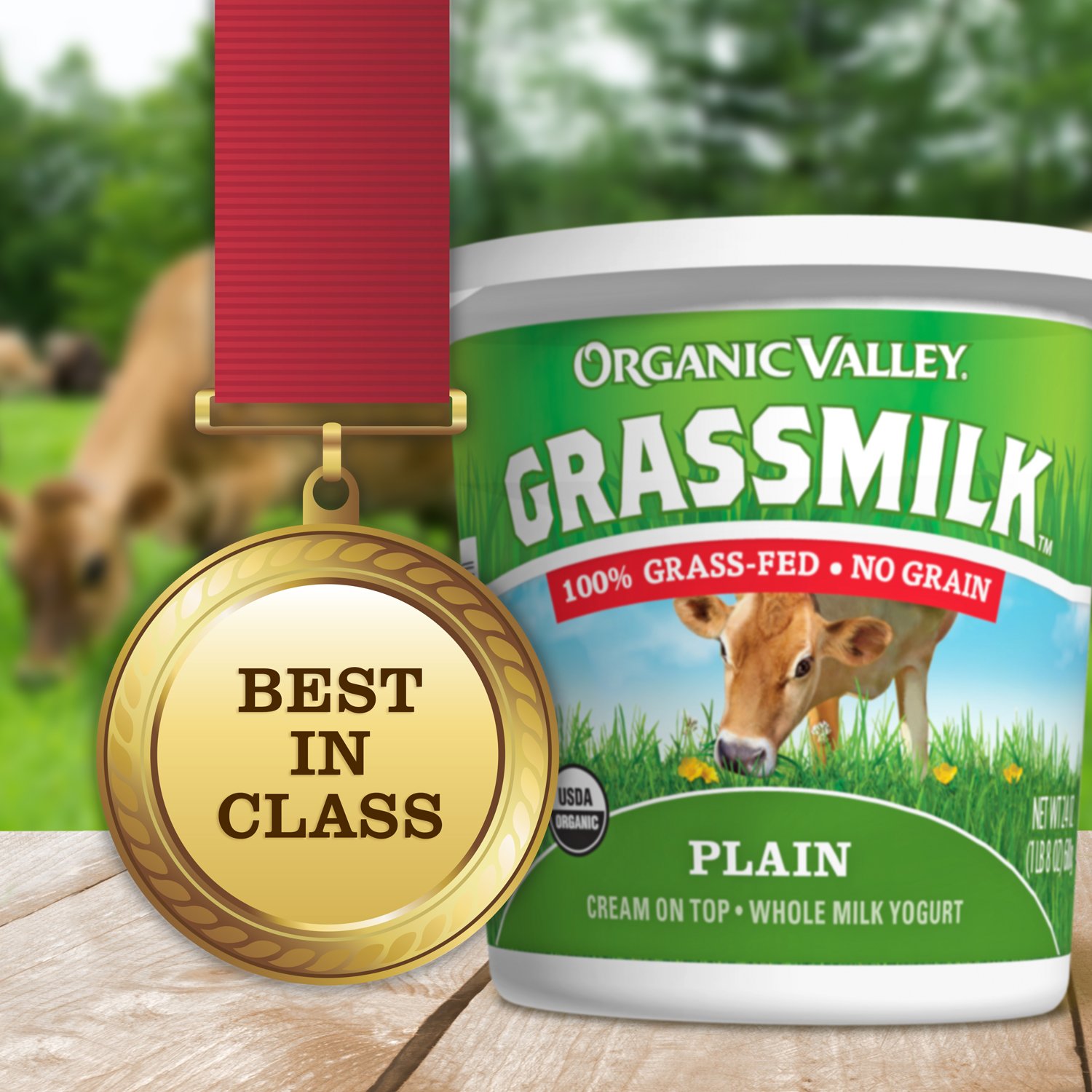 Organic Valley Grassmilk Whole Milk Yogurt, Plain, 24 Ounces ...