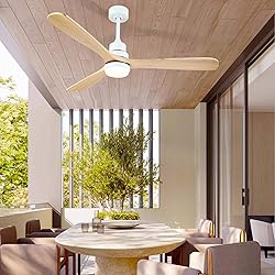 60" Outdoor Ceiling Fans with Lights and