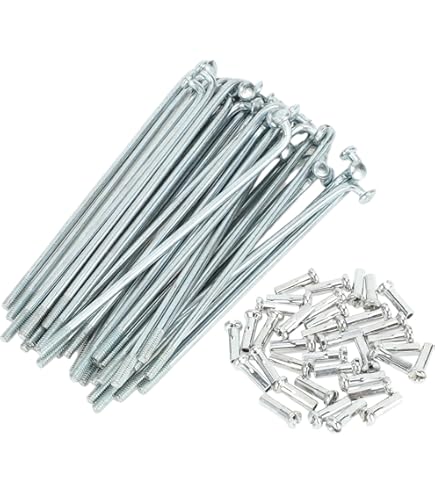 DT SWISS champion スポークセット Amazon.com : Dt Swiss Champion Spokes, Box of 100-14g-2.0mm