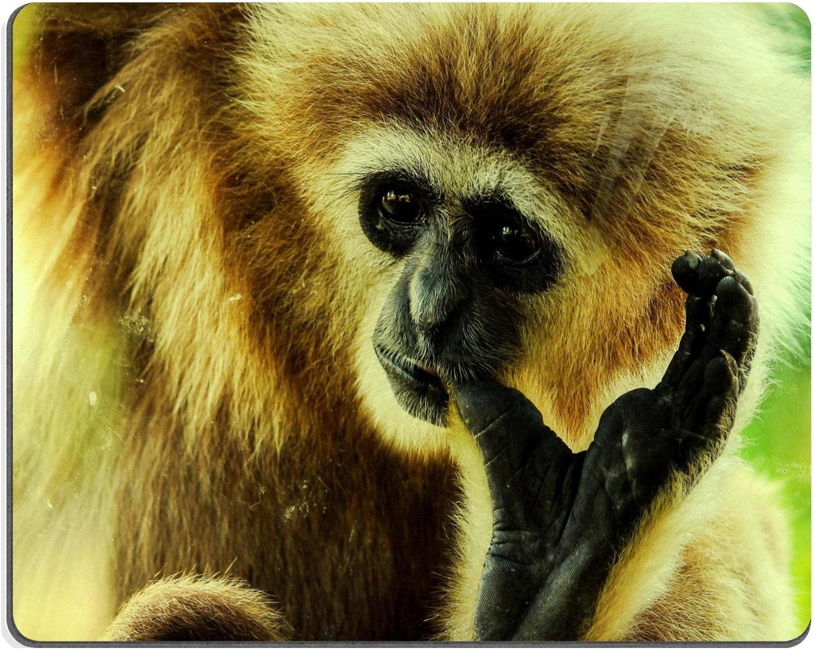 gibbon primate ape animal mammal wildlife nature endangered simian species QZone Customized Made to Order Cloth with Neoprene Rubber Mouse Pads