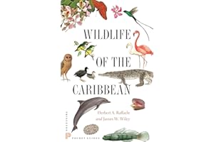 Wildlife of the Caribbean