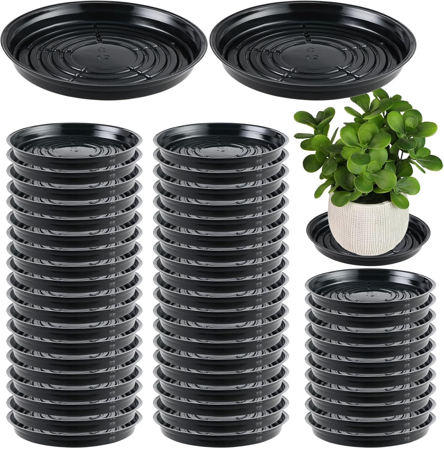 Photo 1 of 50 Packs 12 Inches Large Plant Saucers for Indoor Outdoor Use Heavy Duty Plastic Plant Plate Dish for Planter Bulk Round Flower Pot Drip Trays to Catch Water 4 to 20 Inch, Black