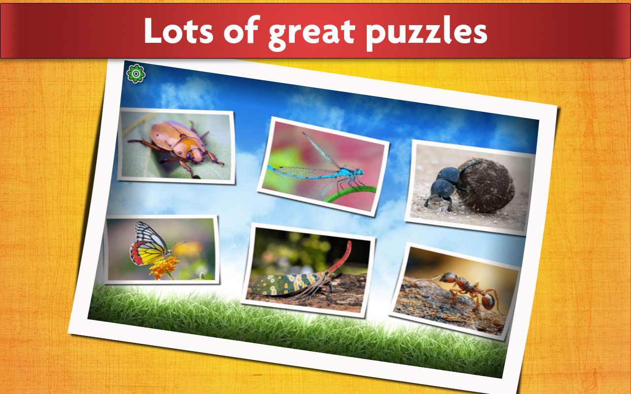 image for App Family AB Insects and Bugs Puzzles for Kids - Fun and Educational 