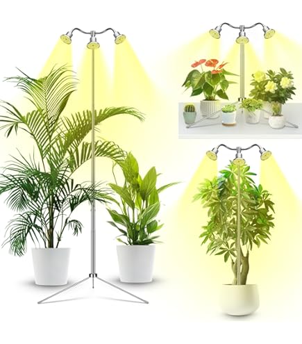 fiddle leaf fig tree tall 78” Fiddle Leaf Artificial Tree (Real Touch)