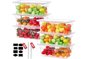 SVKLHY 1/4 Size 6 Inch Clear NSF Polycarbonate Food Pan-9 PCS[Food Grade][Hot&Cold Resistant] Commercial Food Pans with Lids, Restaurant Food Storage Containers Hotel Pan(BPA-FREE)