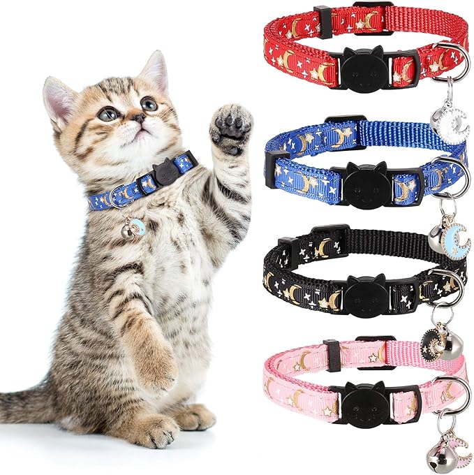cats and collars