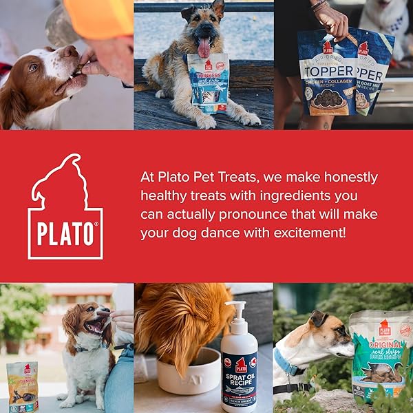 PLATO PET TREATS DOG FOOD TOPPERS – AIR-DRIED DOG FOOD TOPPERS FOR DRY FOOD – WITH COLLAGEN TO SUPPORT SKIN AND COAT HEALTH – CHICKEN AND COLLAGEN RECIPE 12OZ