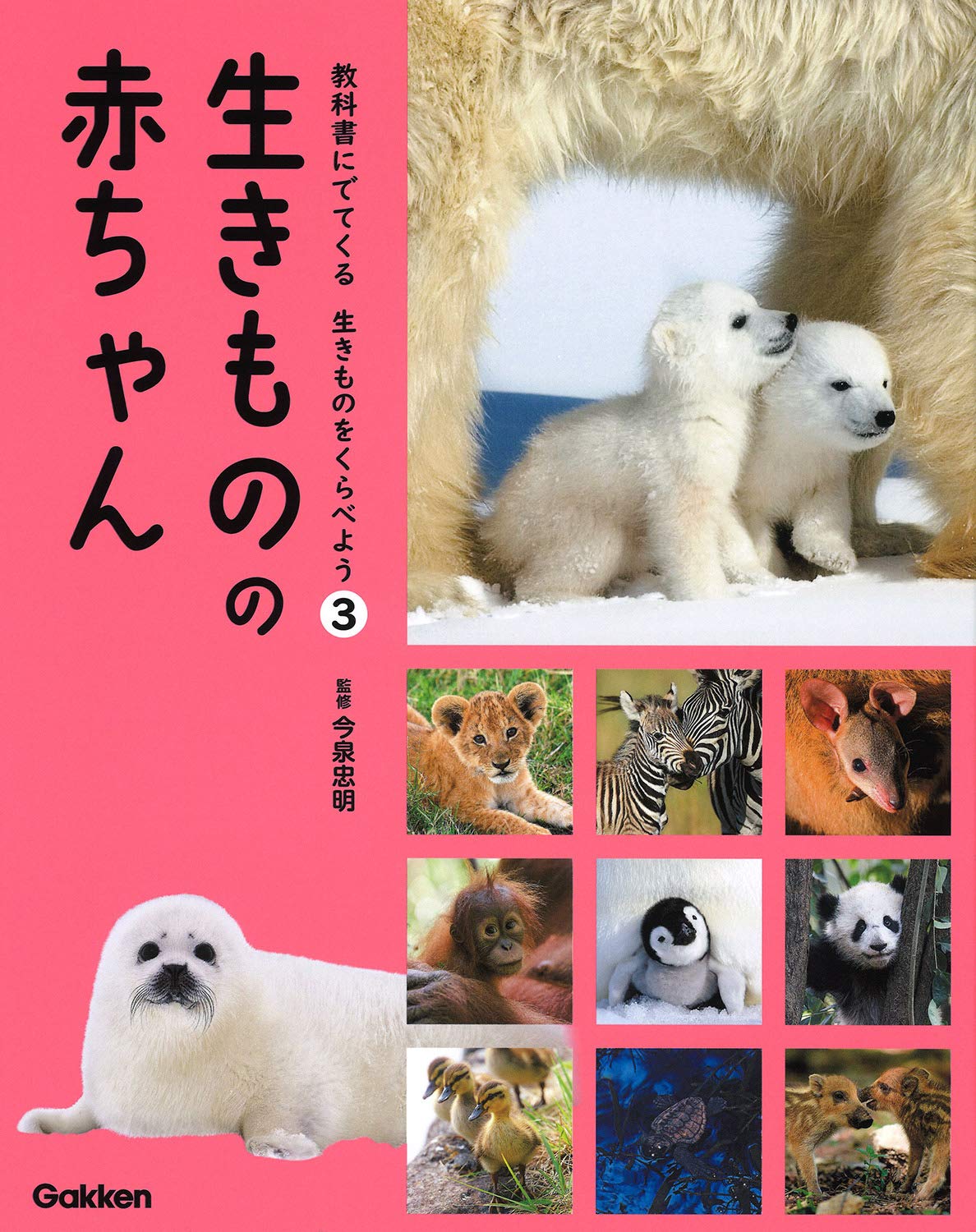 3 生きものの 赤ちゃん 教科書にでてくる 生きものをくらべよう 忠明 今泉 本 通販 Amazon 3 生きものの 赤ちゃん 教科書にでてくる 生きものをくらべよう 忠明 今泉 本 通販 Amazon