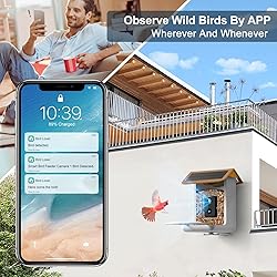 BROAIMX Smart Bird Feeder Camera, Free AI