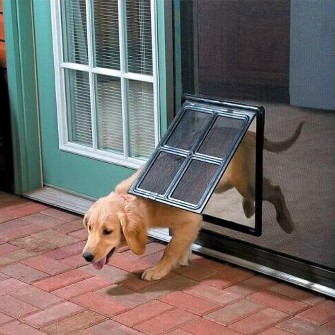 screen gate for dogs