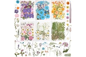 GVHNTK 179Pcs Dried Pressed Flowers Real Pressed Flowers Natural Dry Leaves Bulk Mixed Colorful Herbs Kit with Tweezers for Scrapbooking DIY Candle Jewelry Crafts Making NAI (Delicate Color)