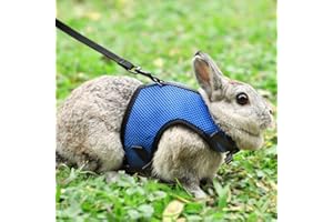 PETTOM Bunny Rabbit Harness with Stretchy Leash Cute Adjustable Buckle Breathable Mesh Vest for Kitten Small Pets Walking (S(Chest:9.8-12.5 in), Blue)