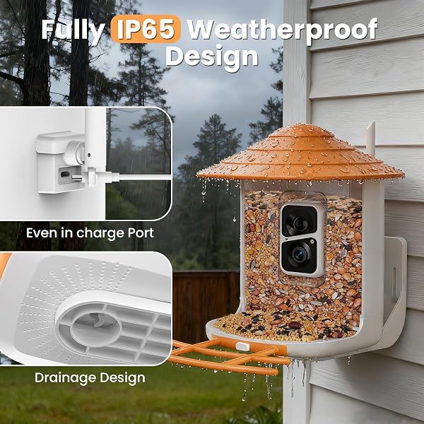 SOLIOM BF09 BIRD FEEDER WITH CAMERA WIRELESS OUTDOOR,SMART FEEDER CAMERA WITH AI IDENTIFY SPECIES,BACKYARD WATCHING GIFT,AUTO RECORD BIRD VIDEO,INSTANT NOTIFICATIONS, US
