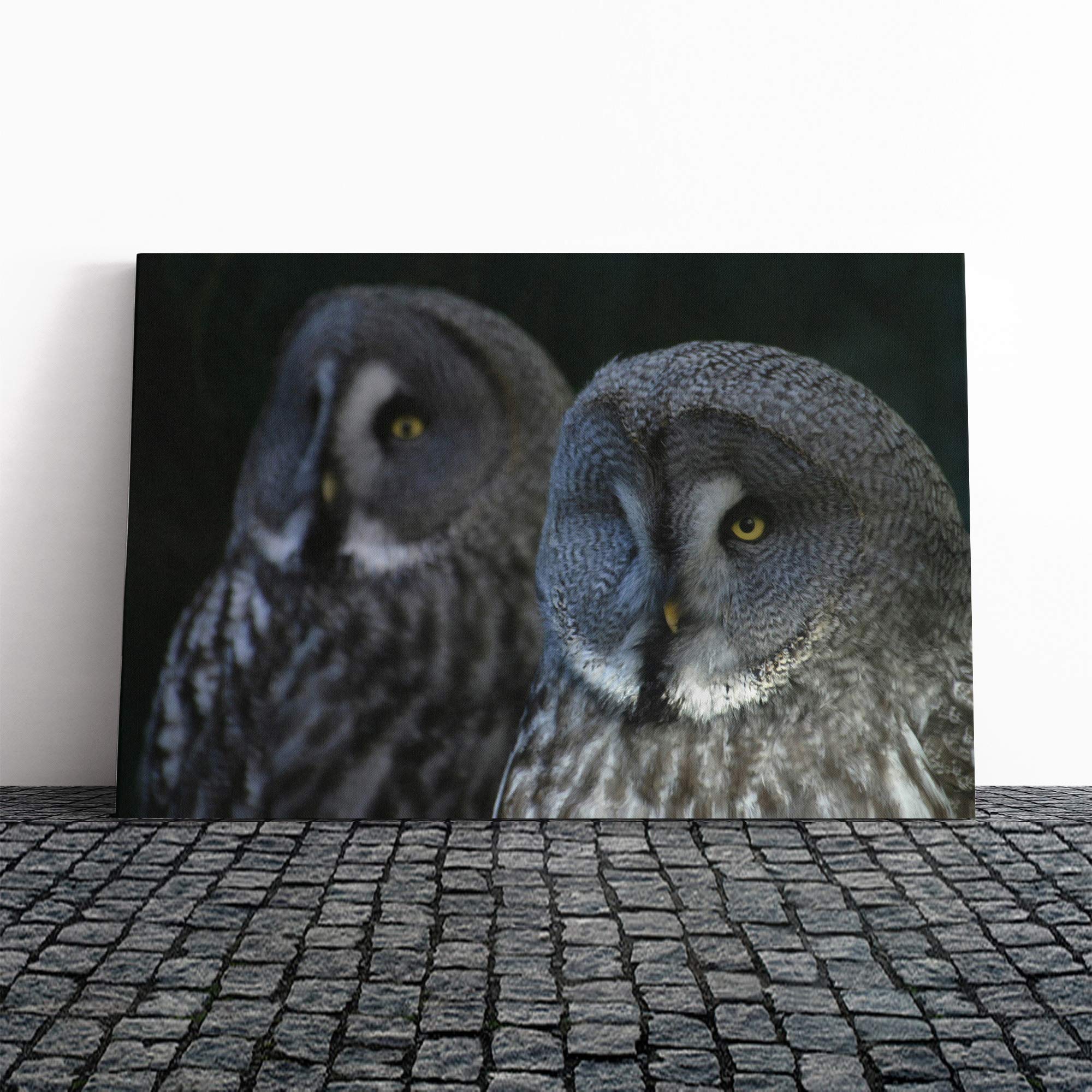 Dark Grey Owls Birds Canvas Print | Gallery Wrapped 30mm Frame Wall Art | 20x14 inches | Ready to Hang | Modern Bird Picture | Living Room Bedroom Lounge Office