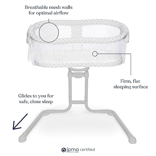 HALO BassiNest Glide Sleeper Plume and Newborn BassiNest Insert