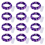Halloween Purple Fairy String Lights: 12 Pack 7 Ft