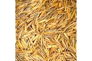 BINESHII GHOST WILD RICE 3-LBS, THE RAREST AND FINEST WILD RICE IN THE WORLD!_AB