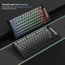 Womier Shine Through PBT Keycaps 60 75 100 Percent