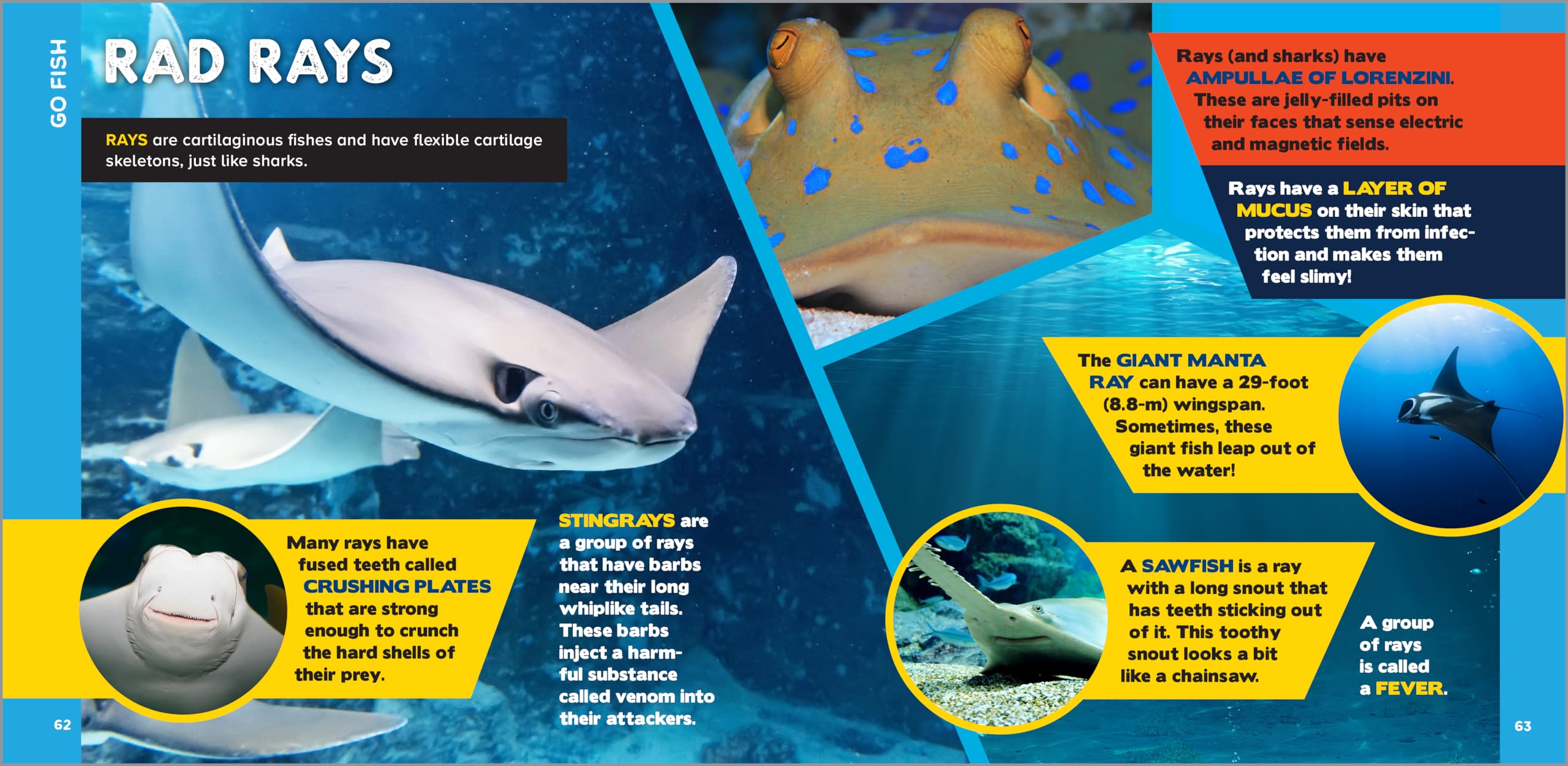 The Fascinating Ocean Book for Kids: 500 Incredible Facts! (Fascinating Facts)