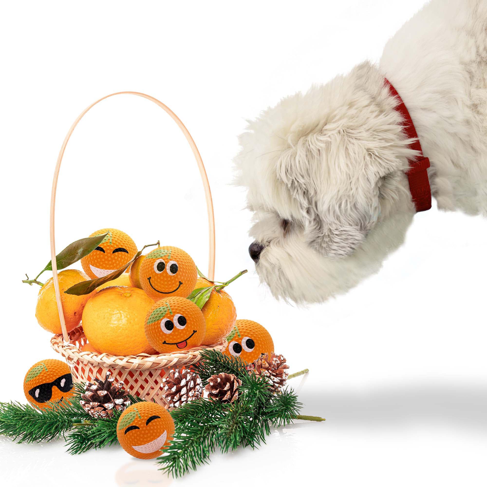 SPORTSPET High Bounce Dog Balls Scented Mandarin Dimple Edition, Fun Fetch Toy for Dogs, Durable Dog Ball for Chew & Play, for Dogs, Pack of 6 (61mm)