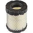 Briggs & Stratton 798897 Air Cleaner Cartridge Filter