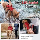 rabbitgoo Escape-Proof Dog Harness Medium XL Red with Handle Reflective view 4