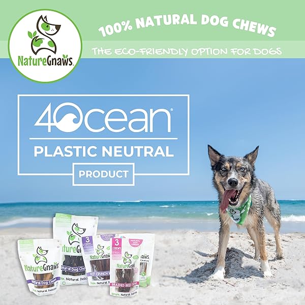 NATURE GNAWS BEEF CHEW STICKS FOR DOGS 1LB – PREMIUM NATURAL DOG TREATS – LIMITED INGREDIENT LONG LASTING RAWHIDE FREE DENTAL CHEWS