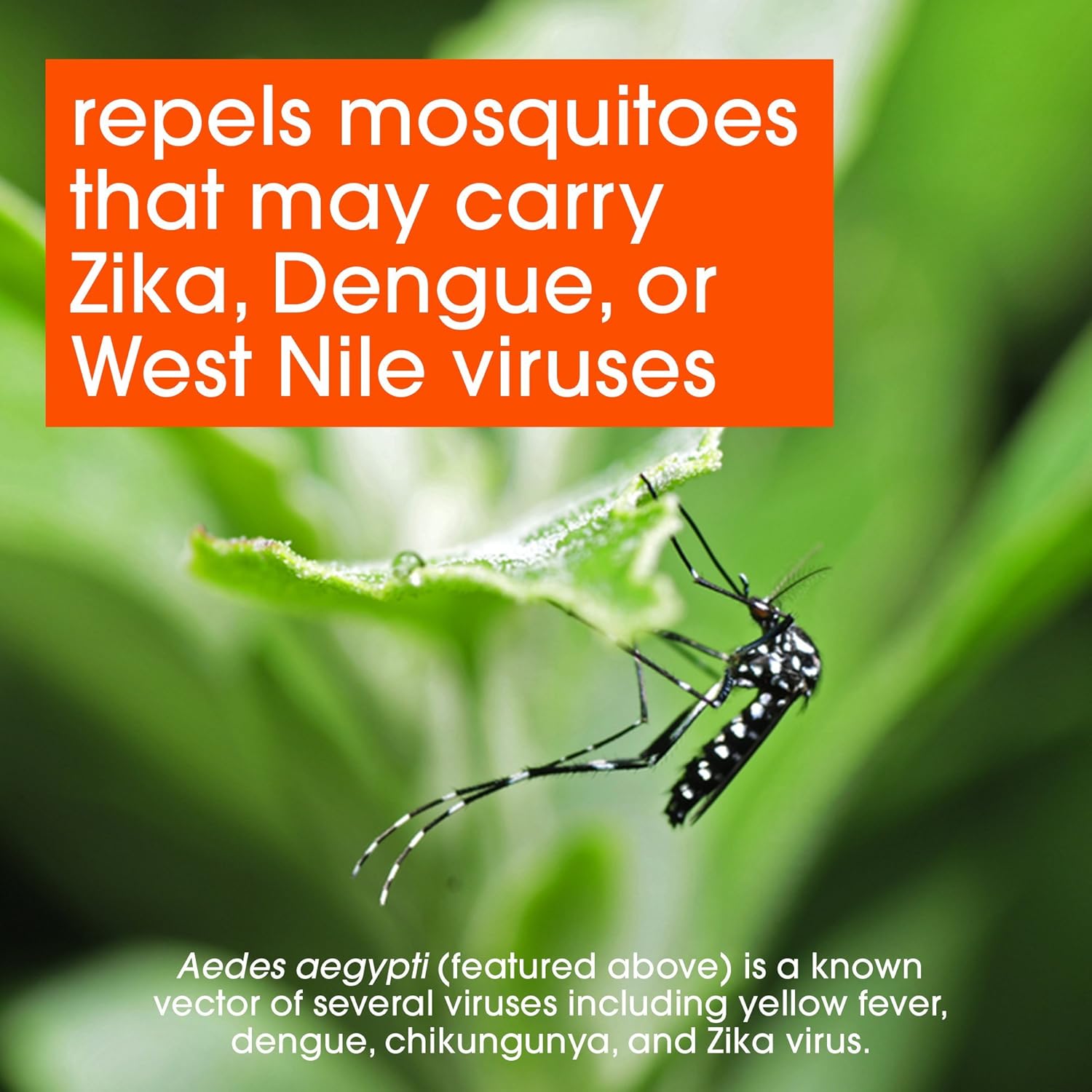 OFF! Family Care Insect & Mosquito Repellent, Unscented with Aloe-Vera, 7% Deet 6 oz, Value pack. (Pack of 2): Health & Personal Care