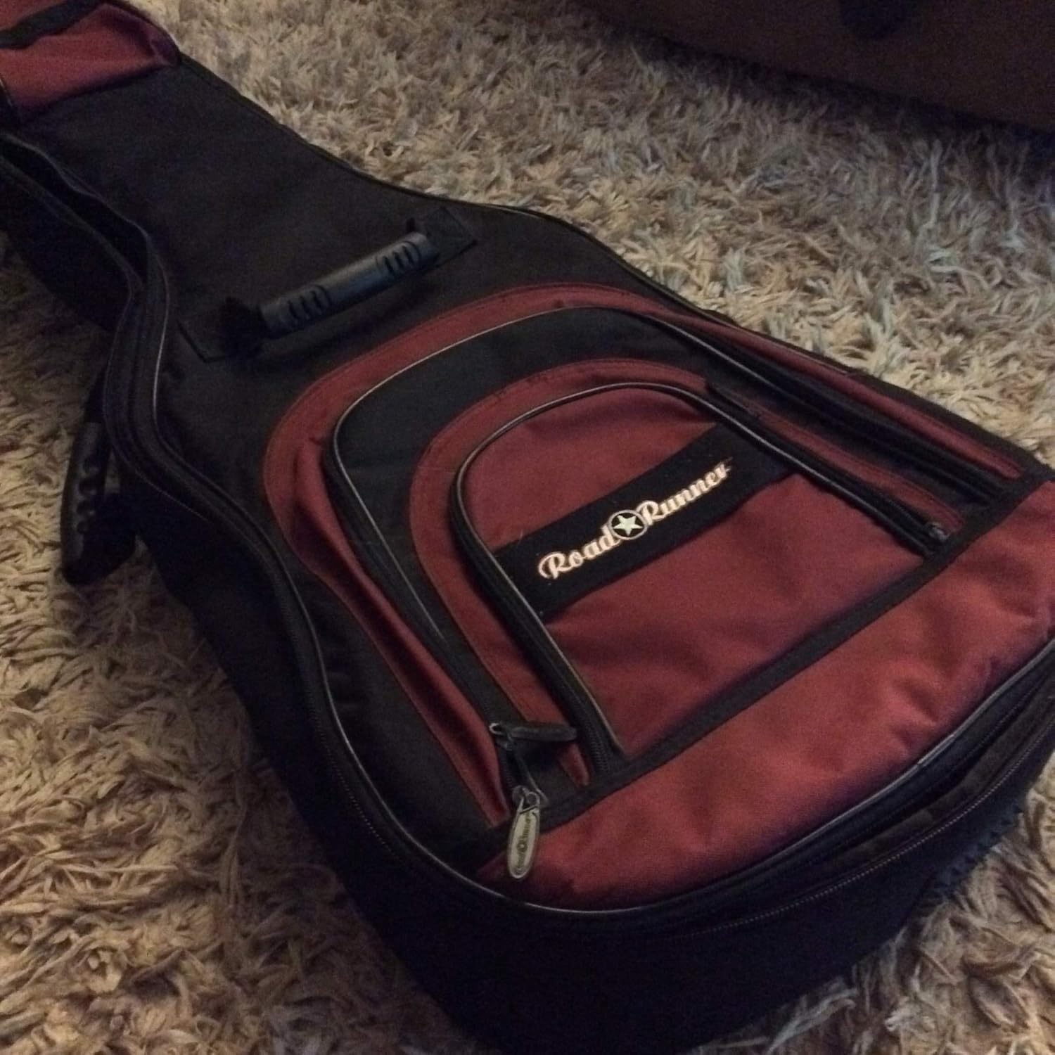 roadrunner bass case