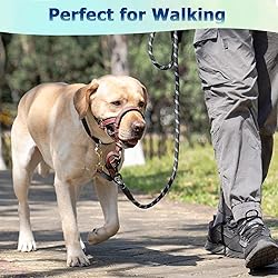 BARKLESS Muzzle Leash for Heavy Pullers, No Pull