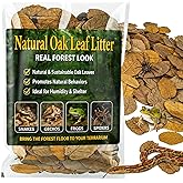 MAQIHAN 5oz Oak Leaf Litter - Dry Substrate for Reptiles Isopod &amp; Bioactive | Whole Natural Oak Leaves for Terrarium, Forest Floor Habitat, Premium Enclosure Bedding for Snake, Frog, Gecko, Lizard