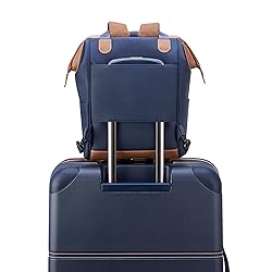 DELSEY PARIS Chatelet 2.0 Tote Travel Backpack