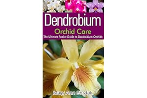 Dendrobium Orchid Care: The Ultimate Pocket Guide to Dendrobium Orchids