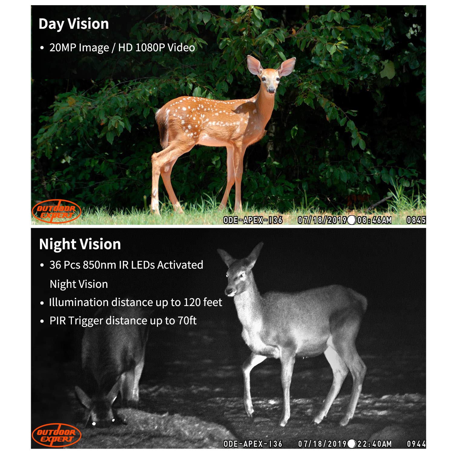 Outdoor Expert Trail Camera 20MP 1080P hunting Camera with 36pcs 850nm IR LEDs, Activated Night Vision 70ft PIR sense distance Digital Game Cam with LCD display for Wildlife Scouting and Home Security